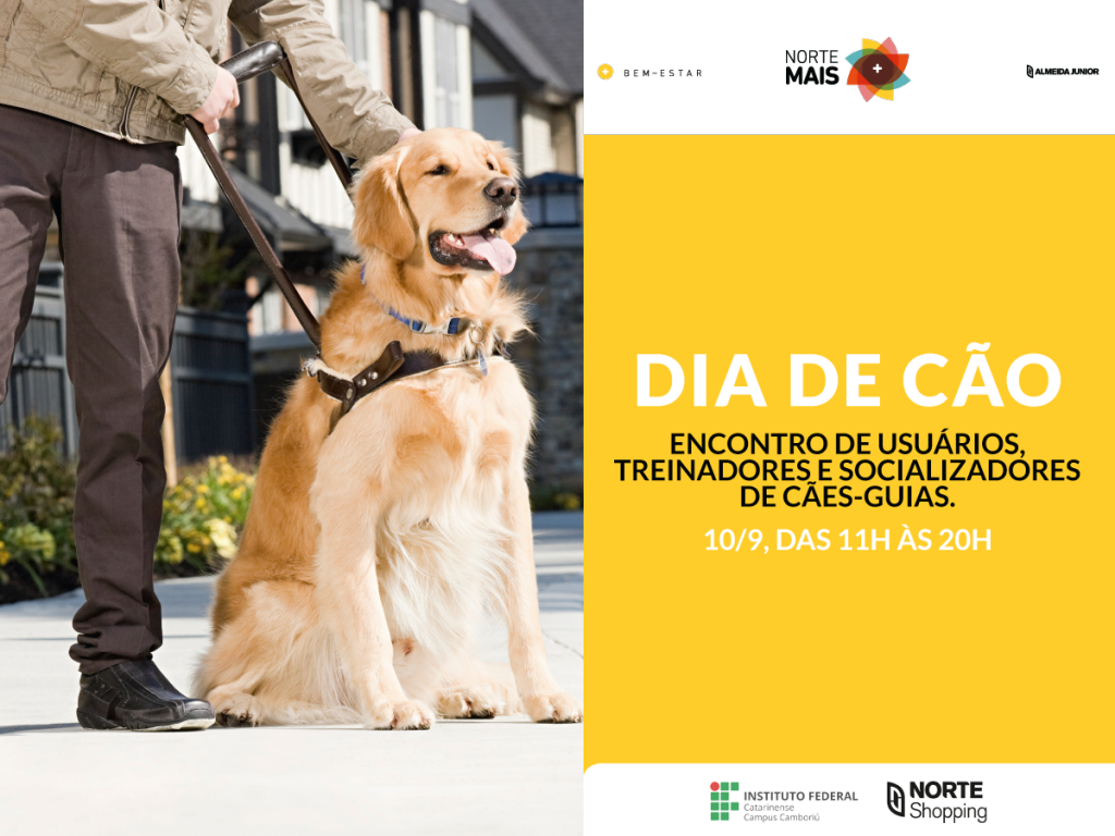 AFP_0079_16C_Card_Facebook_1200x900px