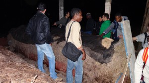 Leiras de Compostagem 