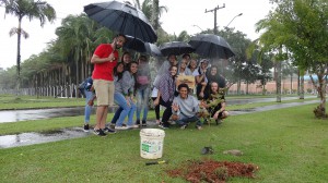 Árvore da Turma CA15