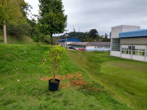 IMG_20180322_133317300_HDR