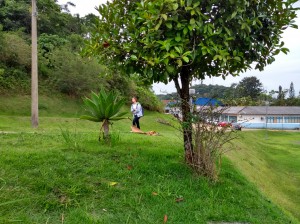 IMG_20180322_135801124_HDR