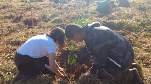 WhatsApp Image 2018-06-09 at 12.26.15