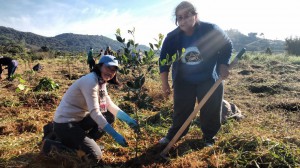 WhatsApp Image 2018-06-09 at 12.33.37