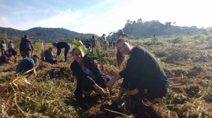 WhatsApp Image 2018-06-09 at 12.37.11