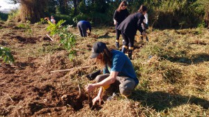 WhatsApp Image 2018-06-09 at 12.37.34