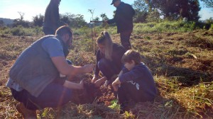 WhatsApp Image 2018-06-09 at 12.37.47