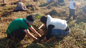 WhatsApp Image 2018-06-09 at 12.38.11