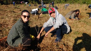 WhatsApp Image 2018-06-09 at 12.38.35