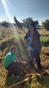 WhatsApp Image 2018-06-09 at 12.38.50