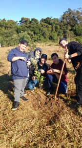 WhatsApp Image 2018-06-09 at 12.38.54