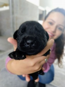 WhatsApp Image 2018-06-14 at 09.16.53