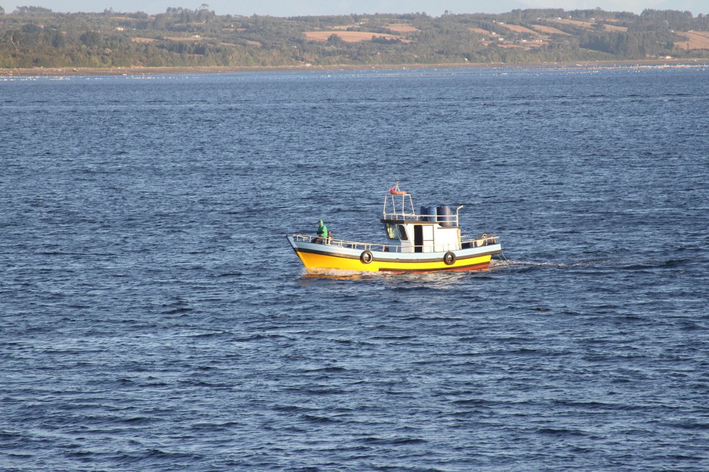 boat-1355778_1920