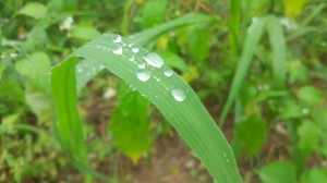 _Arthur Klipp Zenzeluk_Aluno_IA17_