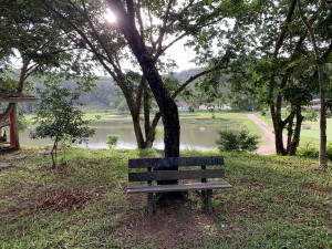 _Claudia Damo Bértoli_Docente_Minha 2a casa_