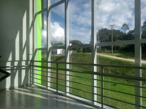 _Daniel Shikanai Kerr_Docente_Sol, céu, mato e bloco j vistos da janela lateral._