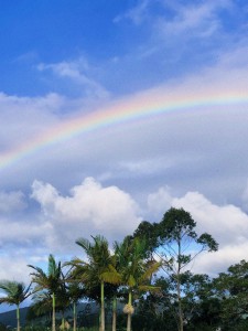 _Isabela Santana_Aluno_Ca17_(1)