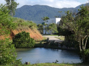 _Larissa Müller_Aluno_Ca18_A biodiversidade e o toque do homem_