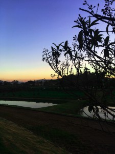 _Mary Ane Lino Salgueiro_Aluno_CA18_