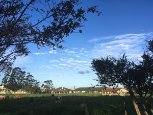 _Mary Ane Lino Salgueiro_Aluno_Ca18_peace in the grass (grace)_