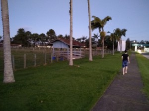 _María Angelica de Moraes Assumpção Pimenta_Técnico_Um caminho de paz._