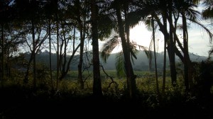 _Miriã Costa Pereira_Aluno_IA18_Ao longe, o brilho das montanhas nos traz a nossa sombra agradável_