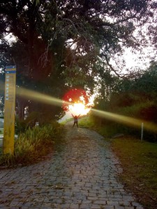 _Miriã Costa Pereira_Aluno_IA18_Ela não consegue alcançá-lo, mas se deleita com o olhar da Mãe Natureza_