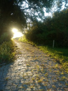 _Nathália Dóro _Aluno_CA18_