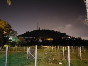 _Renata Ogusucu_Docente_