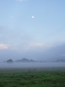 _Renata Ogusucu_Docente_(1)