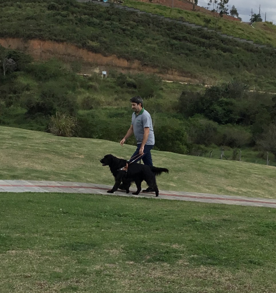 família socializadoras